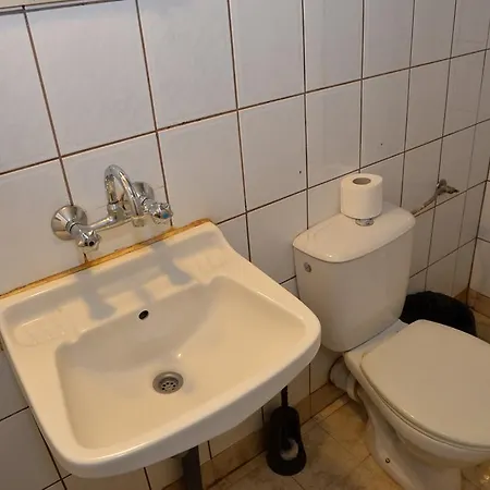 Diltsvet